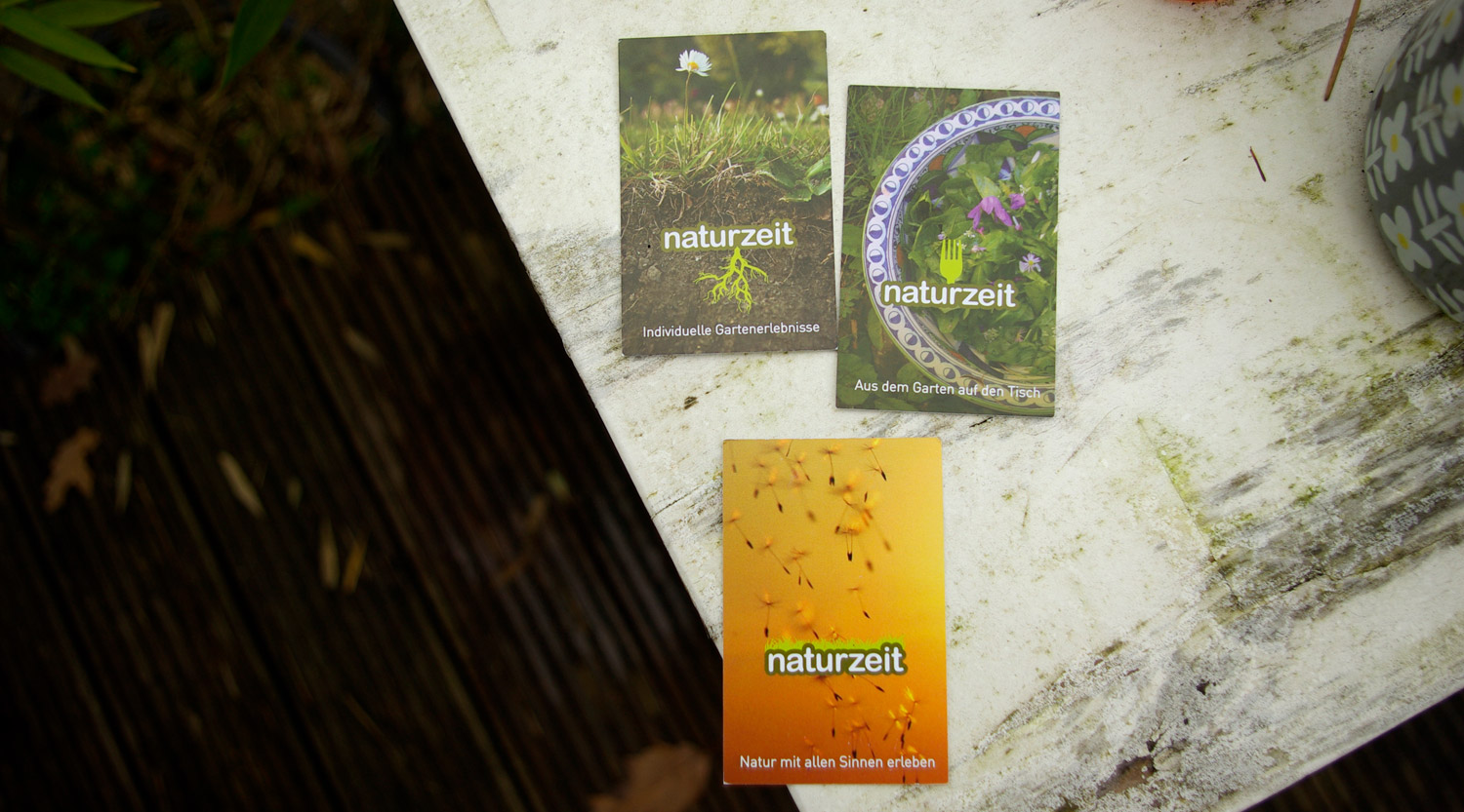 Logogestaltung, Briefpapier, Geschäftsausstattung, Grafik, Visitenkarte