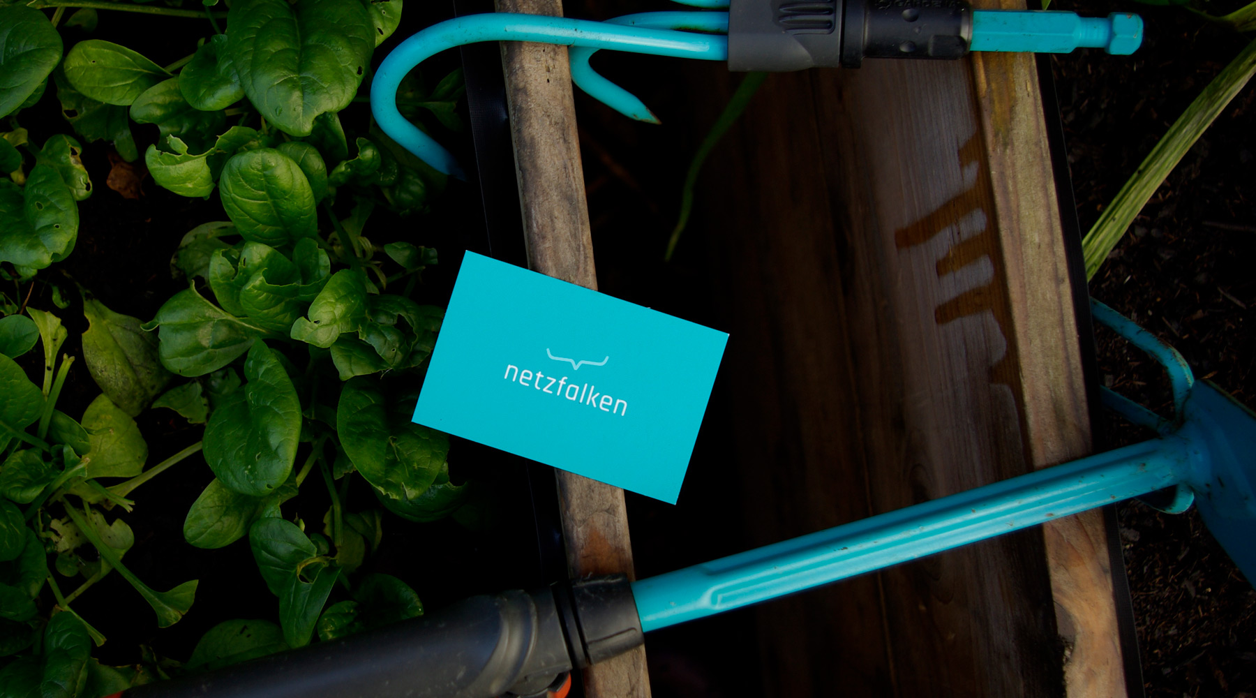 Logogestaltung, Briefpapier, Geschäftsausstattung, Grafik, Visitenkarte