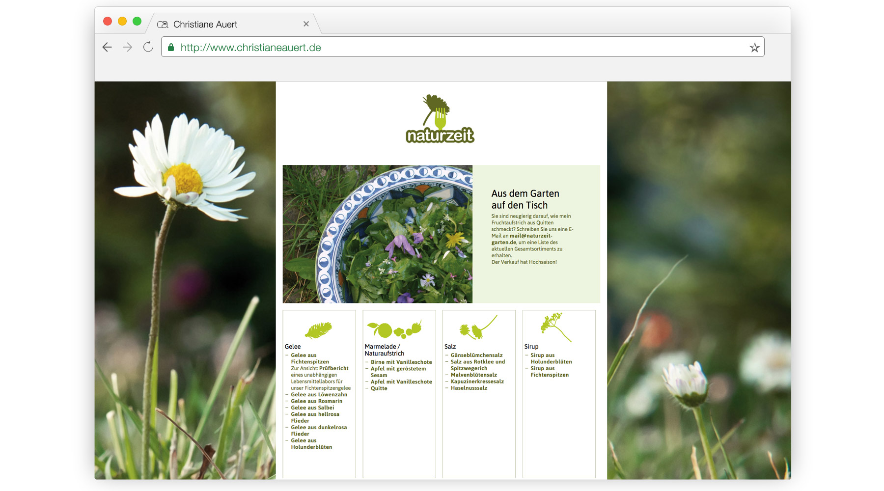 Web-Design, Website, Logo, Grafik, Gestaltung, Bergisch Gladbach