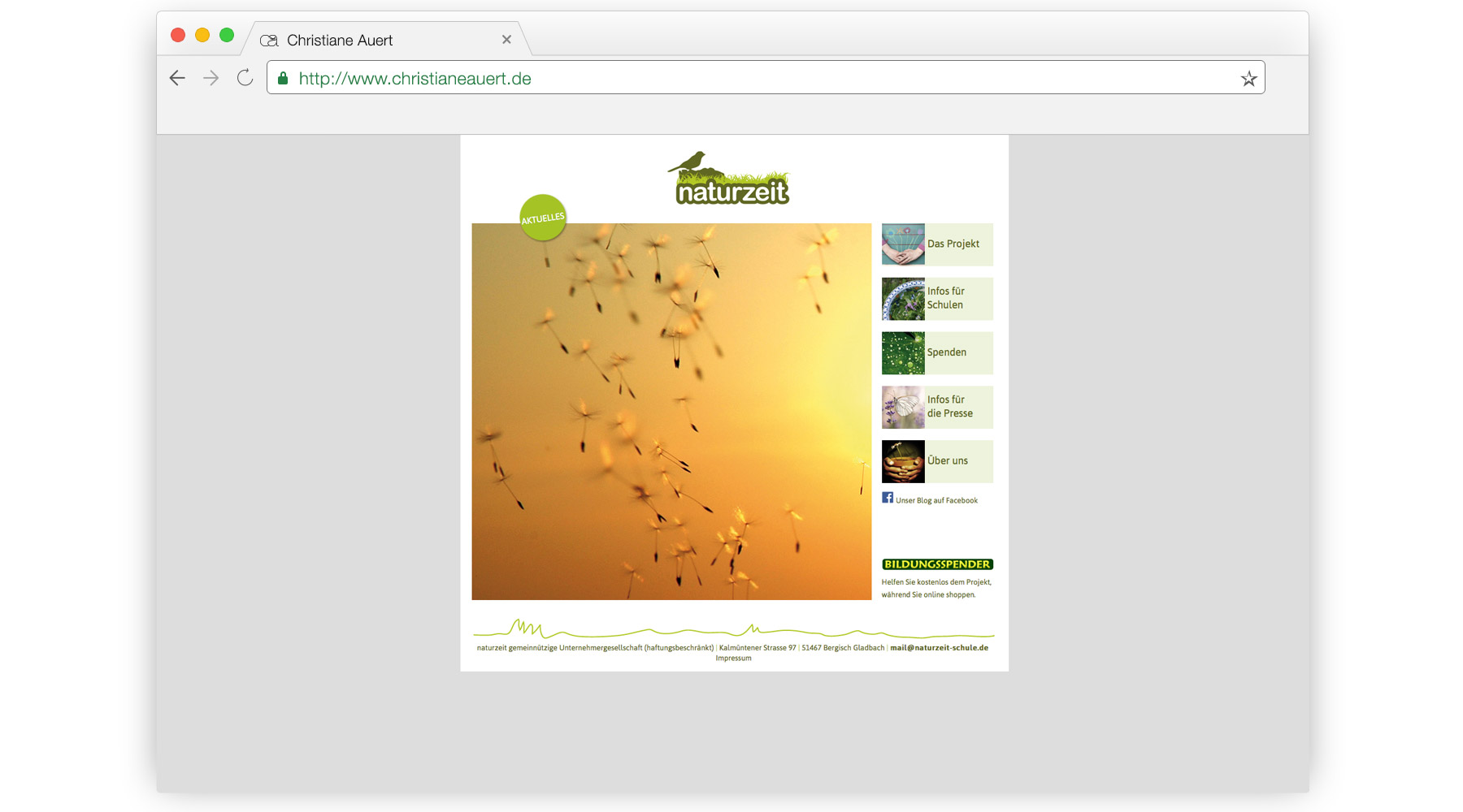 Web-Design, Website, Logo, Grafik, Gestaltung, Bergisch Gladbach