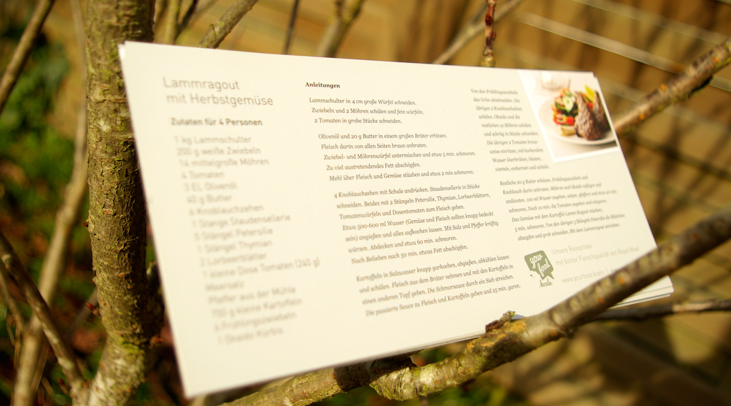 Grafik-Design, Erscheinungsbild, Gestaltung, Flyer, Print, Logo, Corporate Identitiy